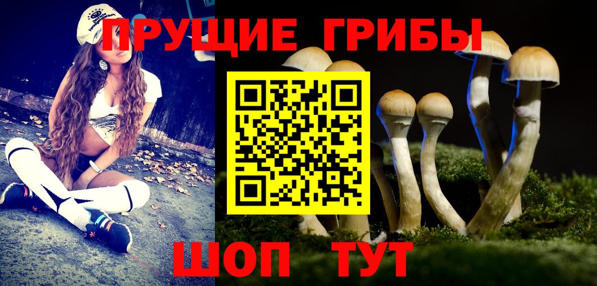 Псилоцибиновые грибы Cubensis  Вход с VPN  где продают наркотики  Советская Гавань 
