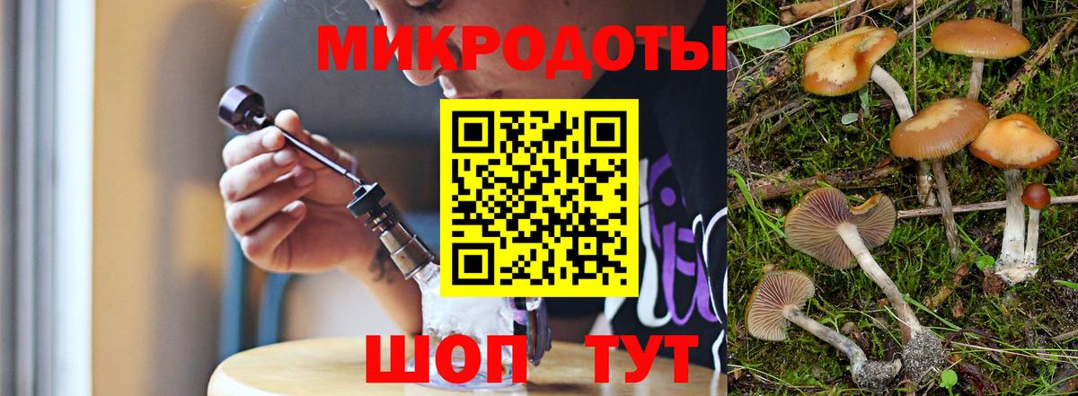 Галлюциногенные грибы Psilocybe Советская Гавань